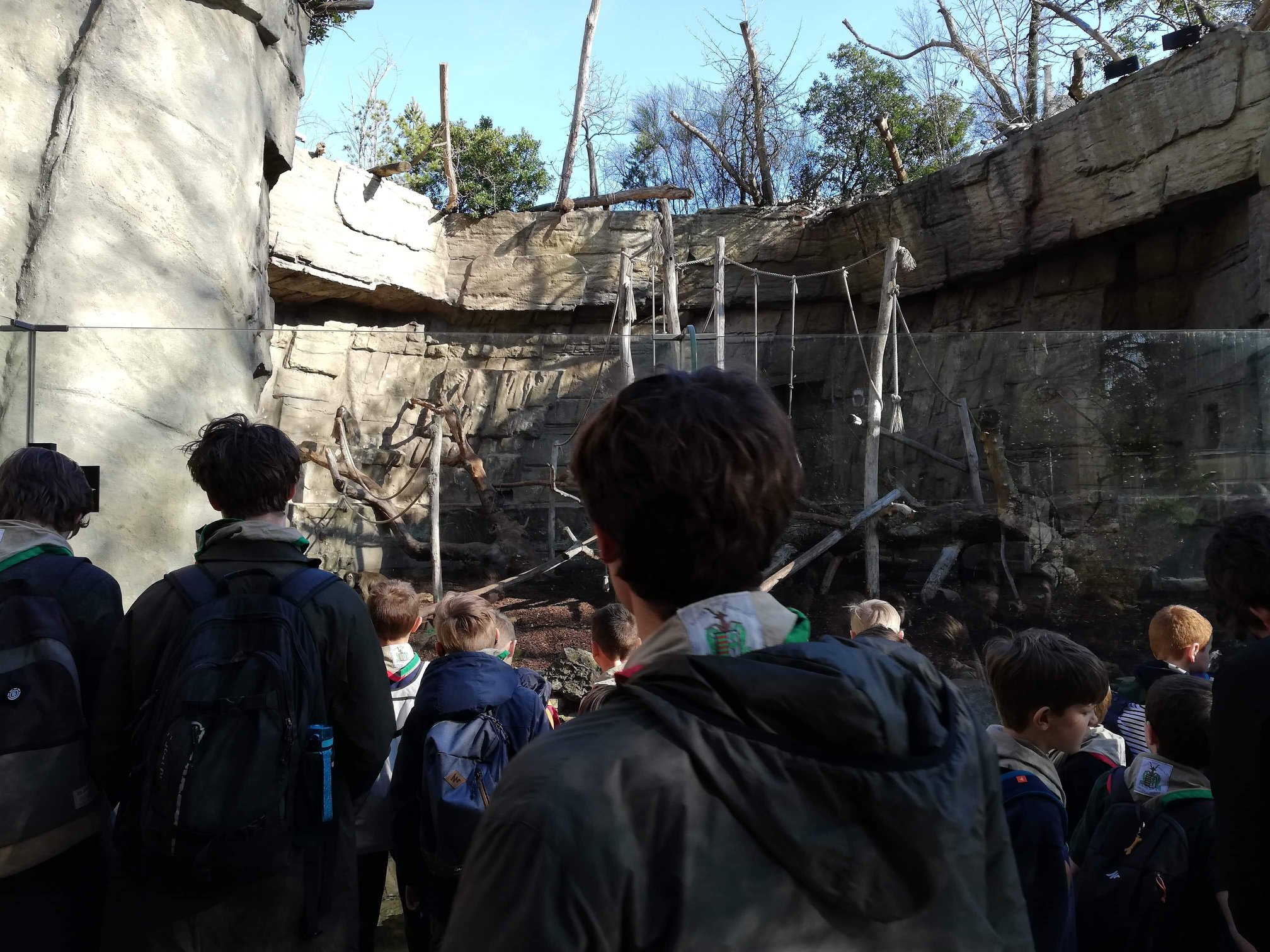 Sint-Martinus den XIIde - Zoo Antwerpen Kapoenen